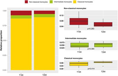 Circulating Monocyte Subsets Are Associated With Extent of Myocardial Injury but Not With Type of Myocardial Infarction